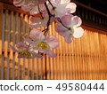 京都春天 49580444