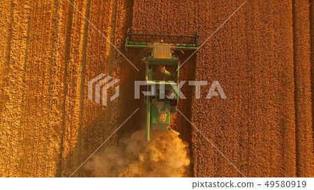 Combine harvester and golden field. Combine harvester and golden field. 49580919