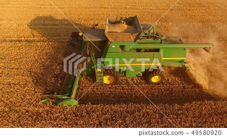 Combine working in the field. Combine working in the field. 49580920