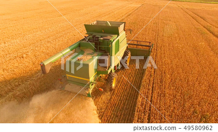 Combine harvester on golden field. Combine harvester on golden field. 49580962