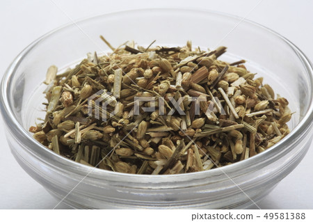 (Herb) Yarrow Japanese name: Achillea millefolium 49581388