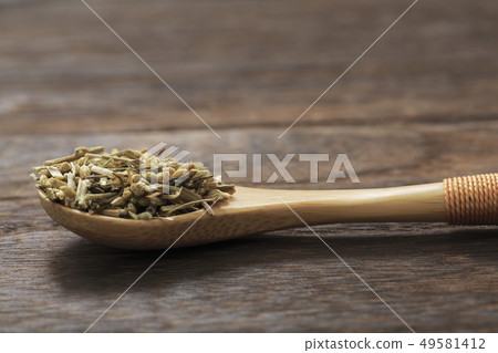 (Herb) Yarrow Japanese name: Achillea millefolium 49581412