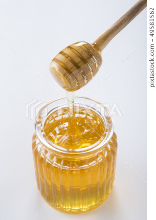 墮落的蜂蜜 墮落的蜂蜜 49581562