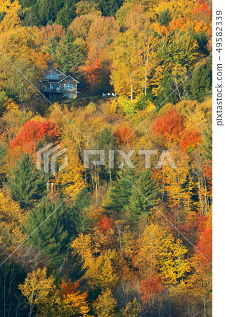 Stowe Countryside view 49582339
