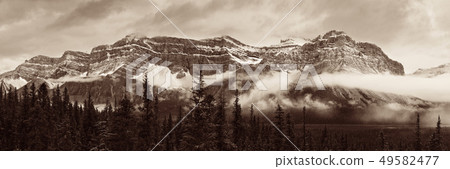 Bow Lake 49582477