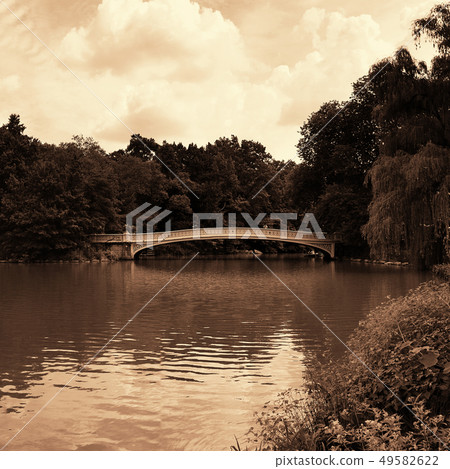 Central Park Spring 49582622