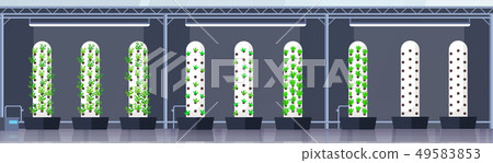 modern organic hydroponic vertical farm interior agriculture smart farming system concept green 49583853