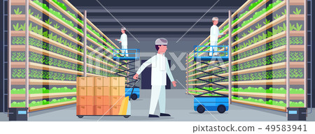 agriculture engineers working in modern organic vertical farm interior farming system concept pallet 49583941
