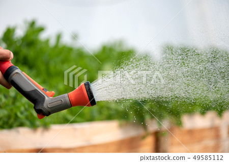 Watering plant in greenhouse garden 49585112