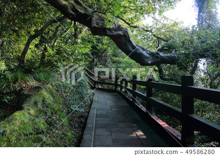 Cheonjeyeon waterfall, promenade, Cheonjeyeon waterfall, promenade, 49586280