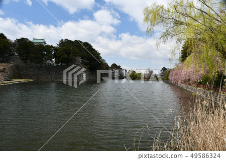 名古屋城堡蓖麻塔門 名古屋城堡蓖麻塔門 49586324