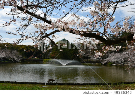 名古屋城堡蓖麻塔門 名古屋城堡蓖麻塔門 49586343