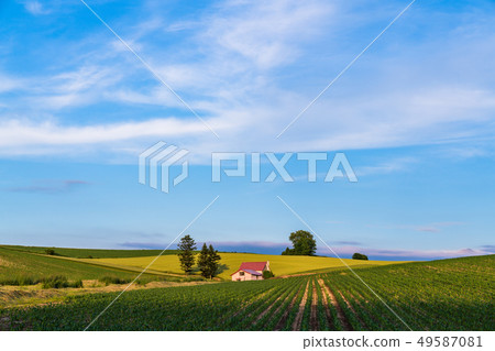 "Hokkaido" summer Biei · red roof house and countryside scenery "Hokkaido" summer Biei · red roof house and countryside scenery 49587081
