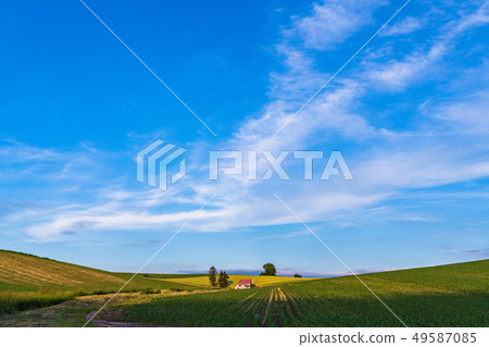 "Hokkaido" summer Biei · red roof house and countryside scenery 49587085