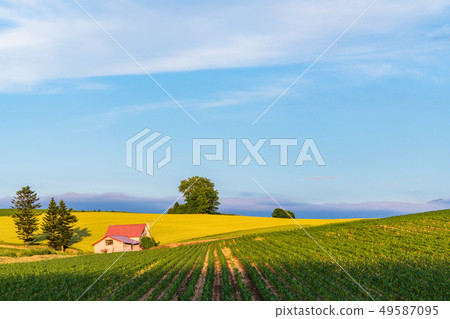 “北海道”夏季別美·紅屋頂屋和鄉村風光 “北海道”夏季別美·紅屋頂屋和鄉村風光 49587095