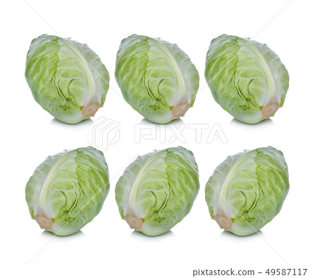 cabbage on white background 49587117