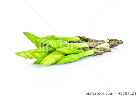 Ipomoea alba on white background Ipomoea alba on white background 49587121