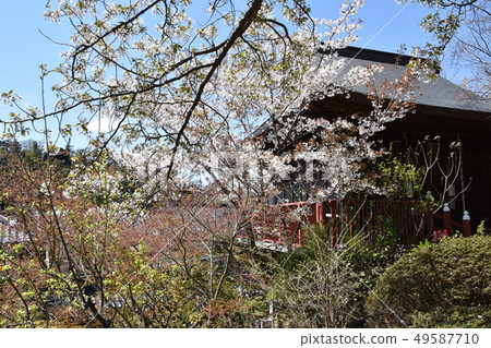 Ofuna Kannon Jikodo鎌倉市 Ofuna Kannon Jikodo鎌倉市 49587710