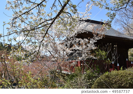 Ofuna Kannon Jikodo鎌倉市 49587737