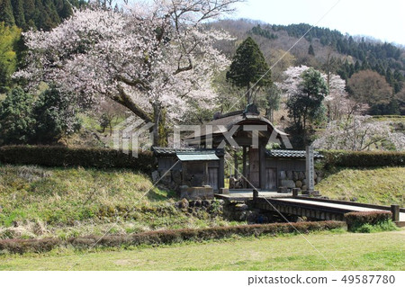 Asakura Ruins先生 Asakura Ruins先生 49587780