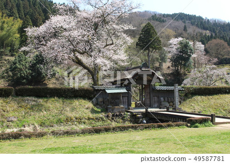 Asakura Ruins先生 Asakura Ruins先生 49587781