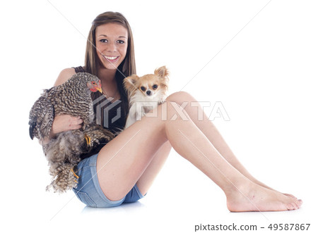 girl, chihuahua and chicken 49587867