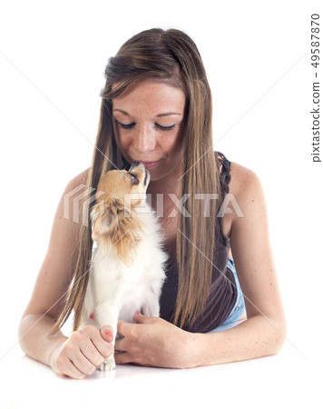 kissing chihuahua kissing chihuahua 49587870