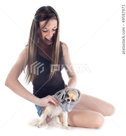 girl and chihuahua girl and chihuahua 49587871