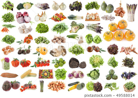 group of vegetables group of vegetables 49588014