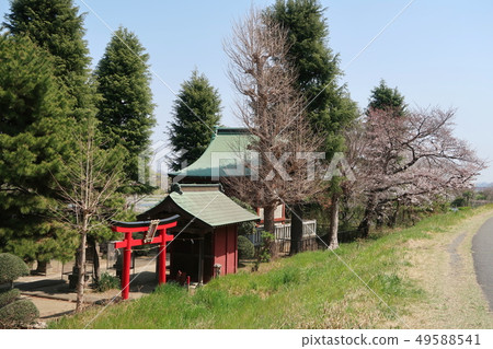 Inari Daimyojin Inari Daimyojin 49588541