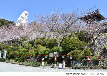 Ofuna Kannon和Sakura鎌倉市 Ofuna Kannon和Sakura鎌倉市 49588707