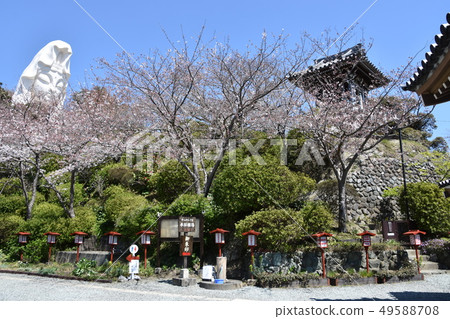 Ofuna Kannon and Sakura Kamakura City Ofuna Kannon and Sakura Kamakura City 49588708