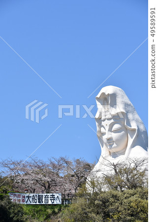Ofuna Kannon Kamakura 49589591