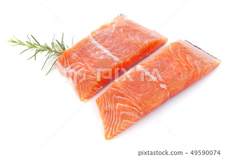 salmon fillets salmon fillets 49590074