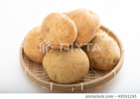 新土豆新土豆春天蔬菜 49591295