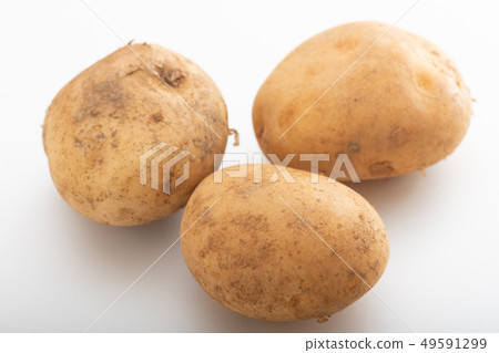 新土豆新土豆春天蔬菜 新土豆新土豆春天蔬菜 49591299