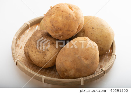 新土豆新土豆春天蔬菜 新土豆新土豆春天蔬菜 49591300