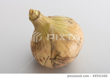 New onion fresh onion spring vegetables New onion fresh onion spring vegetables 49591489