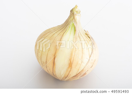 新的蔥新鮮的蔥春天菜 49591493