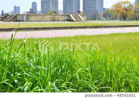 Osaka Namba Palace Remains Osaka Namba Palace Remains 49591851