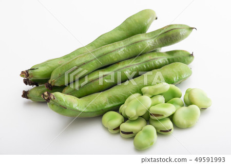 Broad bean Soft bean Spring vegetables Broad bean Soft bean Spring vegetables 49591993