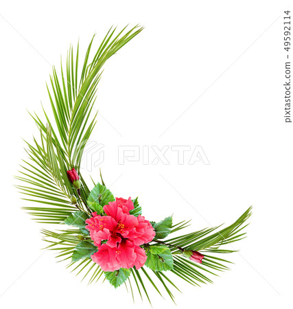 Hibiscus flower and palm leaves in corner tropical Hibiscus flower and palm leaves in corner tropical 49592114