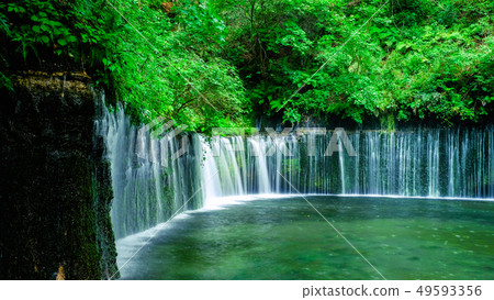 Shiraito Falls (Karuizawa) Shiraito Falls (Karuizawa) 49593356