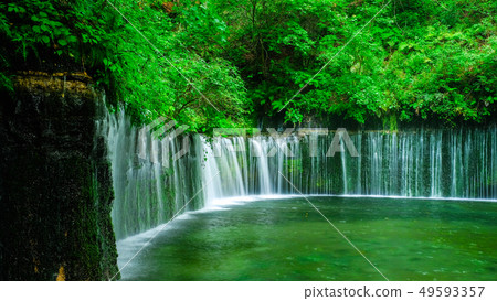 Shiraito Falls (Karuizawa) Shiraito Falls (Karuizawa) 49593357