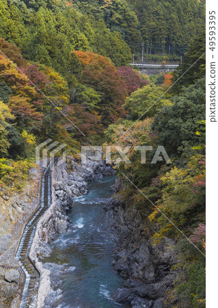 從Okutama Shiramaru大壩觀看山谷 49593395