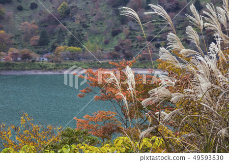 Fall of Okutama Fall of Okutama 49593830