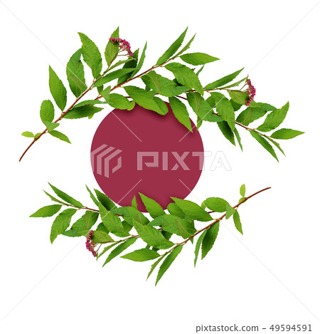 Waved frame from green leaves and small pink 49594591