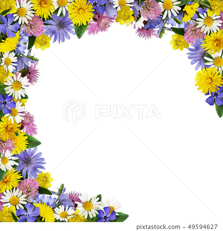 Wild flowers in a frame arrangement 49594627