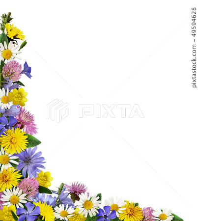 Wild flowers in a corner arrangement Wild flowers in a corner arrangement 49594628