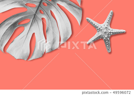 Starfish and monstera tropical leaf on orange 49596072